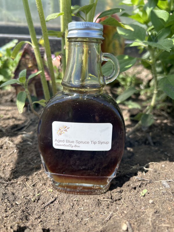 Aged Blue Spruce Syrup