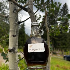 Aged Blue Spruce Syrup